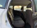 Ford C-Max 1.5TDCI Trend/Klima/Tempomat/6-Gang Blanc - thumbnail 13