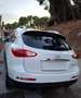 Infiniti QX50 QX50 3.0d GT Premium Aut. GT Premium Blanc - thumbnail 6