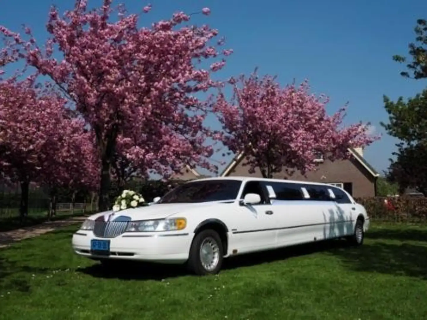 Lincoln Town Car town car stretched limo Wit - 2