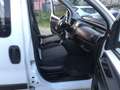 Fiat Qubo 1.3 mjt 16v Lounge 95cv - thumbnail 13