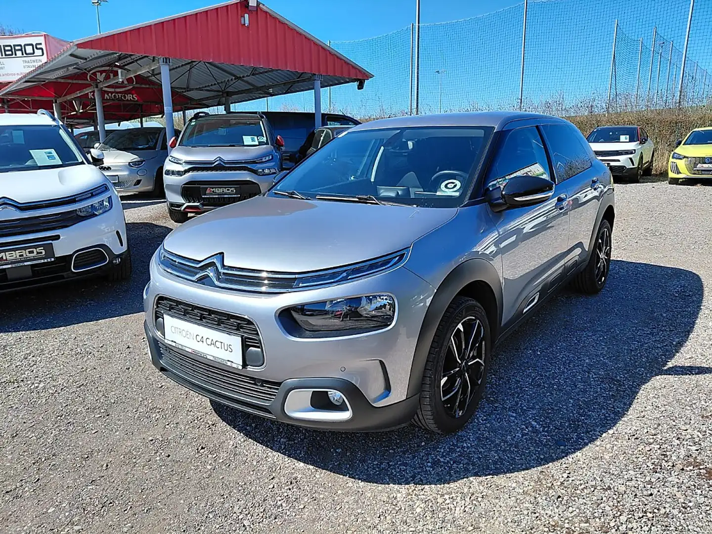 Citroen C4 Cactus PureTech 110 S&S EAT6 Automatik Shine Silber - 1