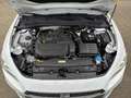 SEAT Leon FR 1.5 eTSI DSG / PANORAMA / NAVI / ACC / DCC / BE Weiß - thumbnail 17