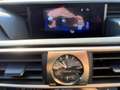 Lexus IS 300 h Privilege *Rückfahrkamera*Klima*NAVI* Schwarz - thumbnail 14