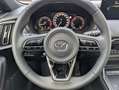 Mazda CX-60 3.3 D254 8AT AWD HOMURA PLUS Rot - thumbnail 16