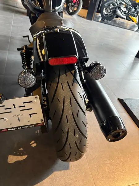 Indian Sport Scout - foto 7