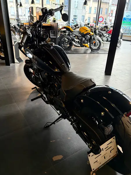 Indian Sport Scout - foto 6