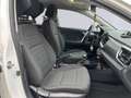 Kia Stonic 1.0T-GDI 100cv ACTIVE Weiß - thumbnail 13