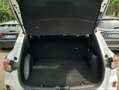 Ford Kuga Kuga ST-Line 1.5 ecoblue  2wd 120cv auto Blanc - thumbnail 9