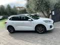 Ford Kuga ST Line Ecoblu 1.5 Kuga MY 2023 cambio Automatico Bianco - thumbnail 5