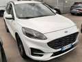 Ford Kuga Kuga ST-Line 1.5 ecoblue  2wd 120cv auto Blanc - thumbnail 1