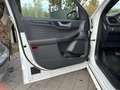 Ford Kuga ST Line Ecoblu 1.5 Kuga MY 2023 cambio Automatico Bianco - thumbnail 19