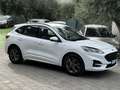 Ford Kuga ST Line Ecoblu 1.5 Kuga MY 2023 cambio Automatico Bianco - thumbnail 4