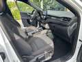 Ford Kuga ST Line Ecoblu 1.5 Kuga MY 2023 cambio Automatico Bianco - thumbnail 18