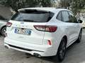 Ford Kuga ST Line Ecoblu 1.5 Kuga MY 2023 cambio Automatico Bianco - thumbnail 6