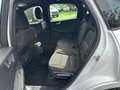 Ford Kuga ST Line Ecoblu 1.5 Kuga MY 2023 cambio Automatico Bianco - thumbnail 12