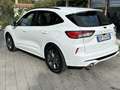 Ford Kuga ST Line Ecoblu 1.5 Kuga MY 2023 cambio Automatico Bianco - thumbnail 7