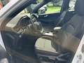 Ford Kuga ST Line Ecoblu 1.5 Kuga MY 2023 cambio Automatico Bianco - thumbnail 11