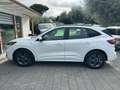 Ford Kuga ST Line Ecoblu 1.5 Kuga MY 2023 cambio Automatico Bianco - thumbnail 9
