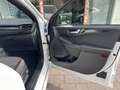 Ford Kuga ST-Line 1.5 ecoblue Kuga 2wd 120cv automatica Blanc - thumbnail 17