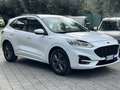 Ford Kuga ST Line Ecoblu 1.5 Kuga MY 2023 cambio Automatico Bianco - thumbnail 1