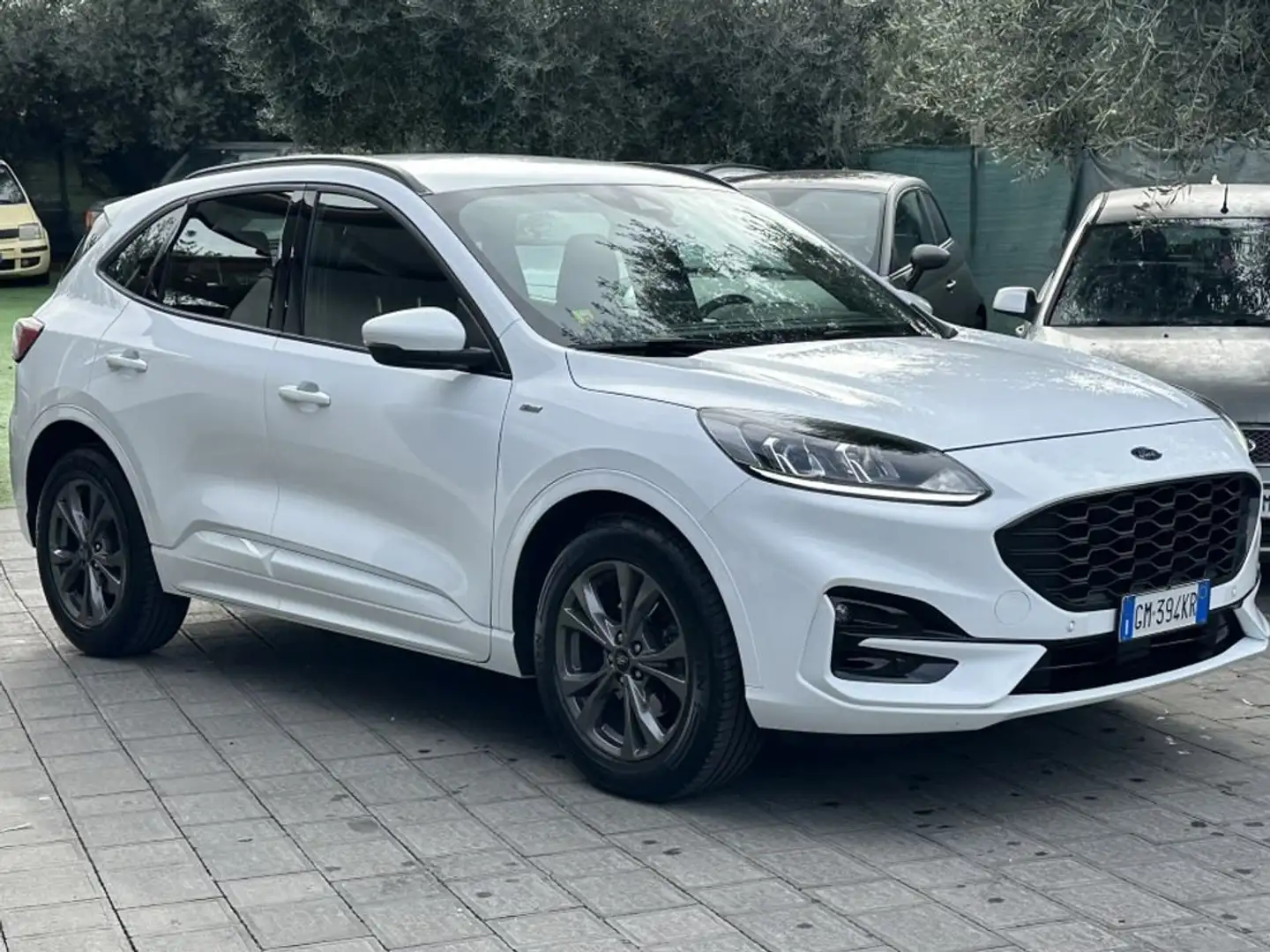 Ford Kuga ST Line Ecoblu 1.5 Kuga MY 2023 cambio Automatico Bianco - 1