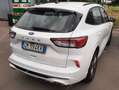 Ford Kuga Kuga ST-Line 1.5 ecoblue  2wd 120cv auto Blanc - thumbnail 3