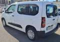 Citroen Berlingo BlueHDi S&S Talla M 100 años 100 Blanco - thumbnail 4