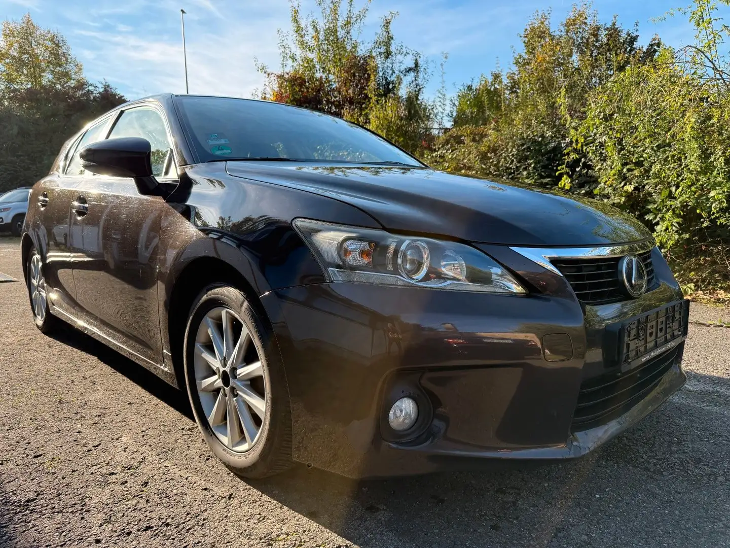 Lexus CT 200h Braun - 1