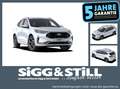 Ford Kuga ST-Line X 2.5 PHEV 360*4XSHZ*HUD*LED-MATRIX Bianco - thumbnail 1