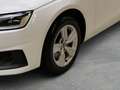 Audi A4 Avant 35 TDI S tronic GRA AHK Weiß - thumbnail 4
