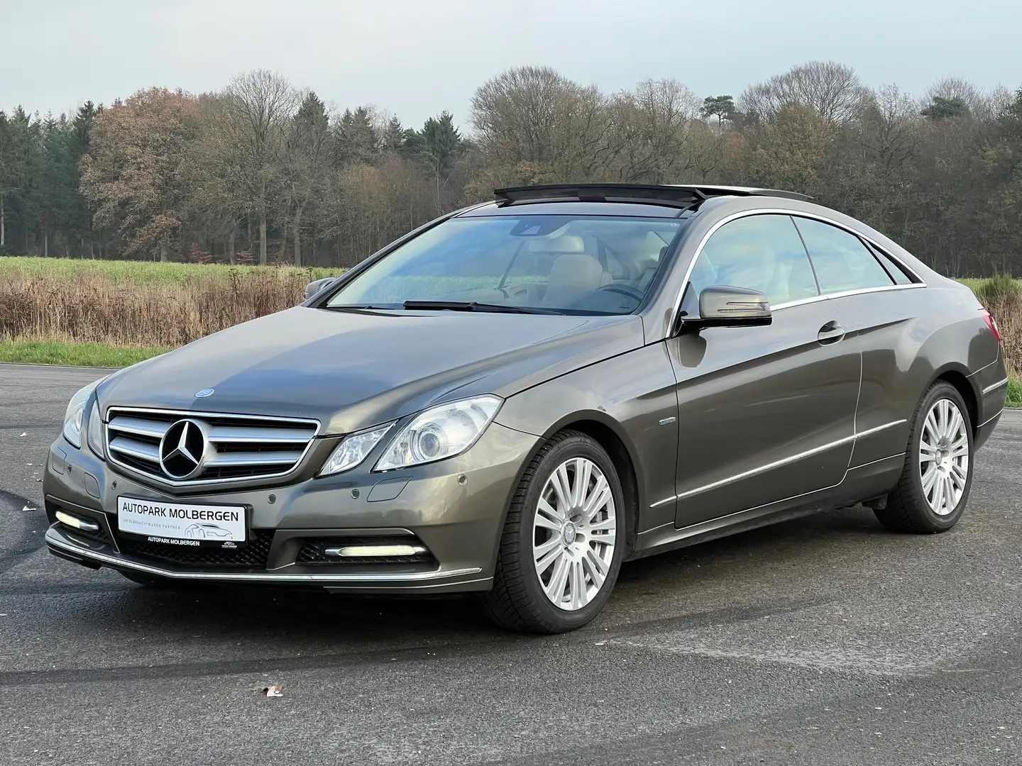 Mercedes-Benz E 220 E 220 CDI LEDER BEIGE Kamera Panorama GARANTIE 365 Bronze - 1