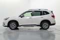Subaru Forester 2.0i Hybrid Executive Plus CVT Blanco - thumbnail 8