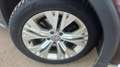 Volkswagen Passat Alltrack 4MOTION Braun - thumbnail 10