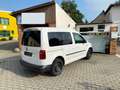 Volkswagen Caddy PDC-Temp.-"2x Schiebetür "- Klima !!! Weiß - thumbnail 13