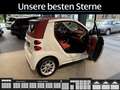 smart forTwo fortwo cabrio Passion/Klima/Sitzhzg./BC eFH. Wit - thumbnail 12