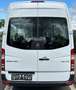 Mercedes-Benz Sprinter 316 CDI L2H2 9.Sitz|Standhzg|Klima|PDC Weiß - thumbnail 5