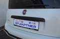 Fiat Panda Cross 4x4 Weiß - thumbnail 6