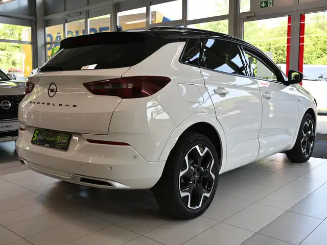 Opel Grandland view 10