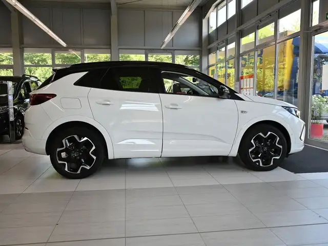 Opel Grandland view 9