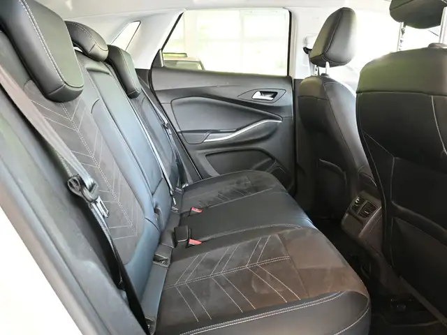 Opel Grandland view 25