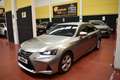 Lexus IS 300 300h Business Beige - thumbnail 10