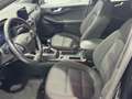 Ford Kuga Kuga III 2020 2.0 ecoblue mhev ST-Line 2wd 150cv Noir - thumbnail 12