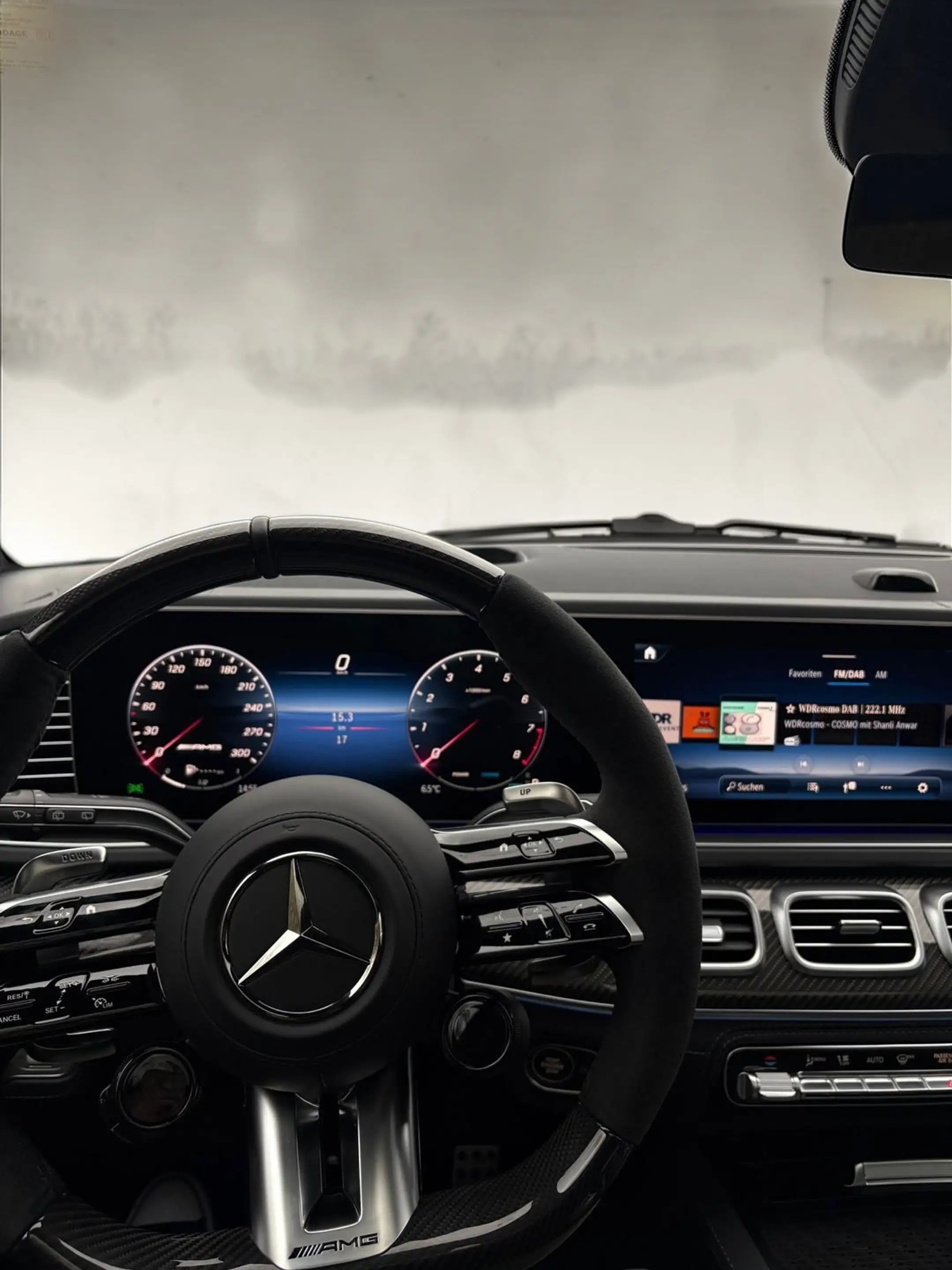 Mercedes-Benz GLS 63 AMG 4Matic Burmester Keramik Carbon 2026 — photo 8