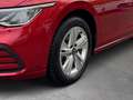 Volkswagen Golf Variant VIII Life 1.5 TSI LED Navi AHK ACC Climatronic Rot - thumbnail 8