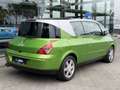Renault Avantime 3.0-24V V6 Privilège | Taiga Vert | Full service h Groen - thumbnail 13