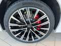 Maserati Grecale Trofeo V6 530HP AWD MY25 Weiß - thumbnail 7