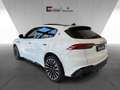 Maserati Grecale Trofeo V6 530HP AWD MY25 Weiß - thumbnail 5