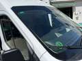 Ford Transit 350 96kW L4H3 Van Trend RWD Blanco - thumbnail 26