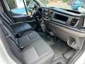 Ford Transit 350 96kW L4H3 Van Trend RWD Blanco - thumbnail 9