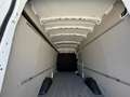 Ford Transit 350 96kW L4H3 Van Trend RWD Blanco - thumbnail 37